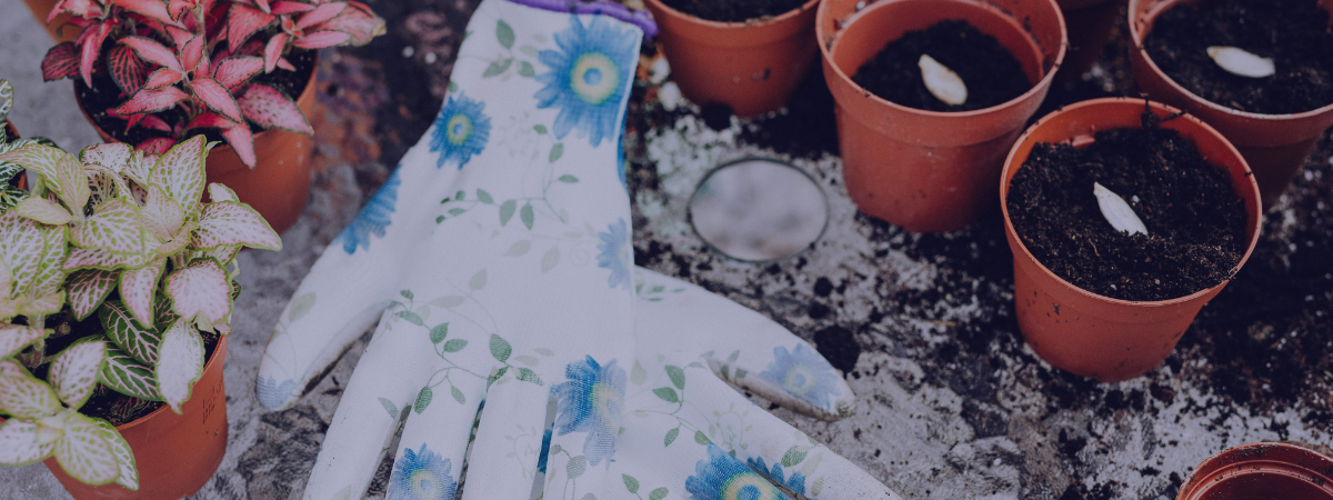 Gardening gloves, plants, and pots with seeds.