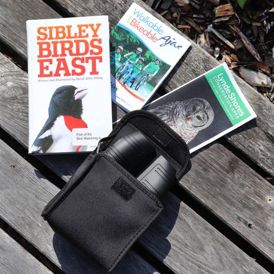 A bird watching kit including a book about birds and local pamphlets, arranged on a park bench.