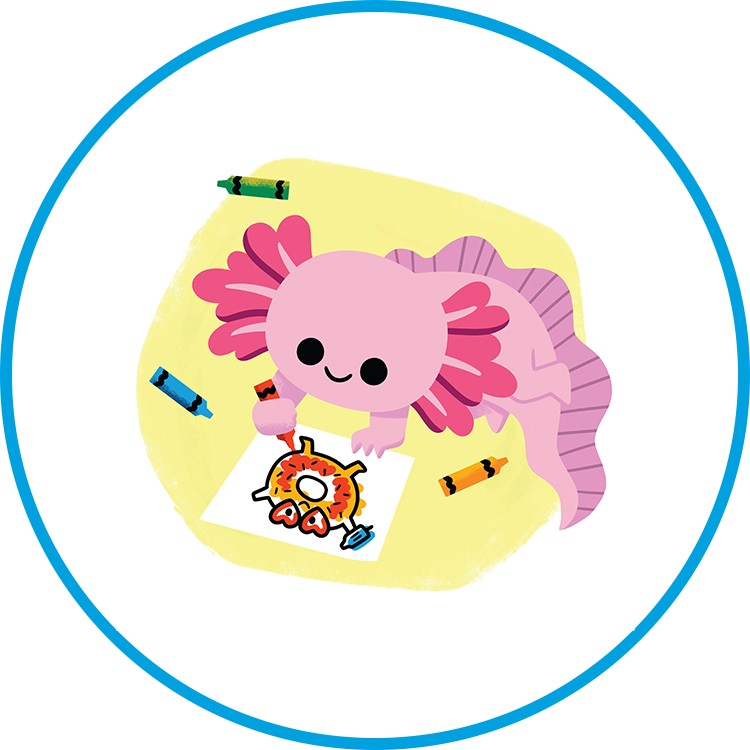 A cartoon drawing of an axolotl colouring with a round blue border.